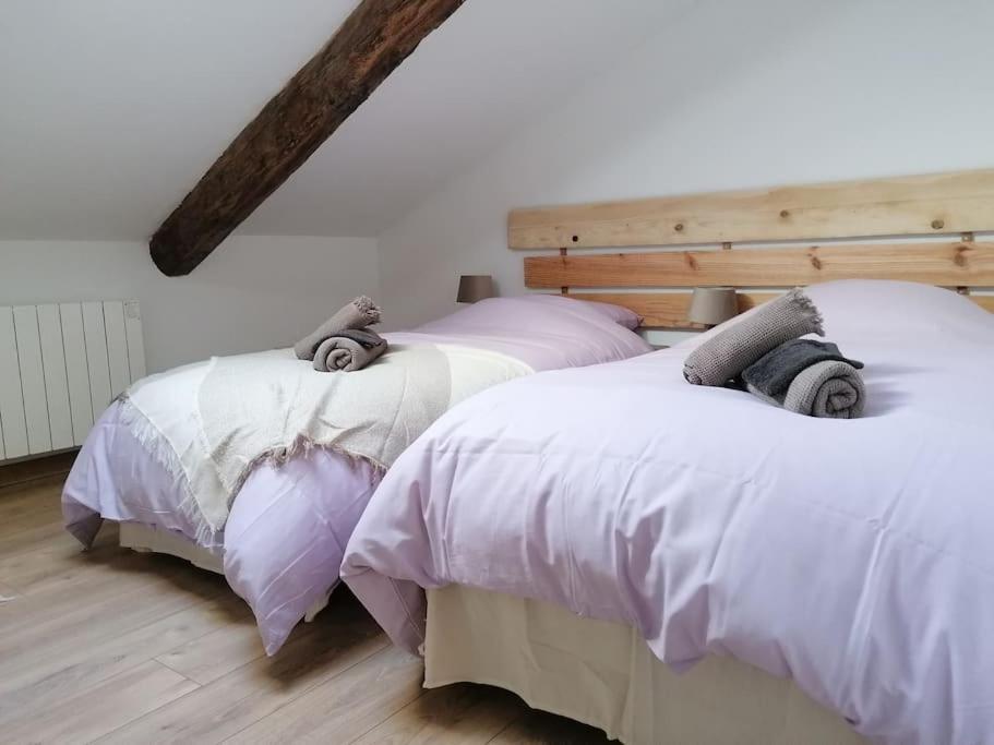Gite L'Edelweiss 3* La Piarre エクステリア 写真