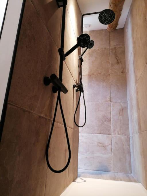 Gite L'Edelweiss 3* La Piarre エクステリア 写真